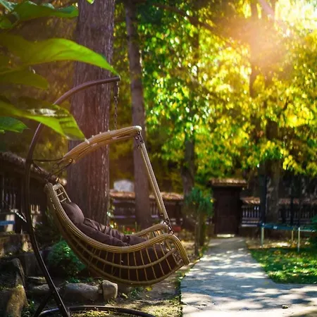 Forest Paradise Villa
