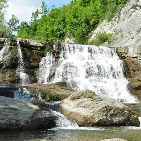 빌라 Forest Paradise