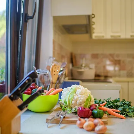 Forest Paradise Khunevtsi