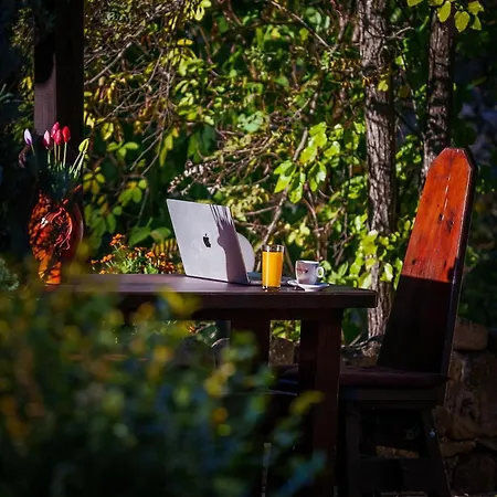 Forest Paradise Khunevtsi