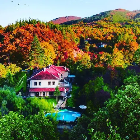 Villa Forest Paradise