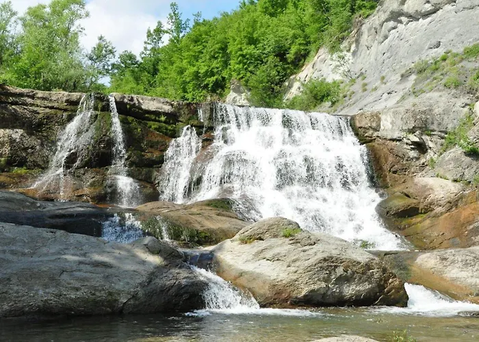 Villa Forest Paradise